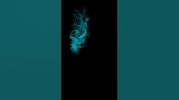 wiko harry On (with animation)