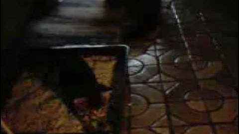 More OpenCV moved to GPU