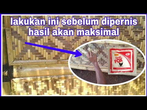 Video: 3 Cara Mencuci Kuas Bambu