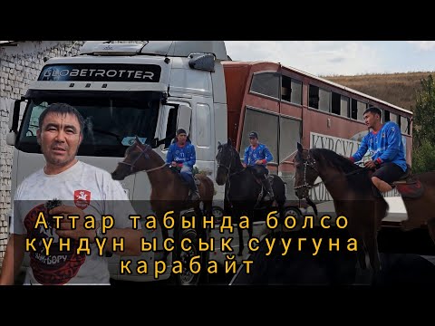 Video: Салмактуу гольф союлун терүү жардам береби?