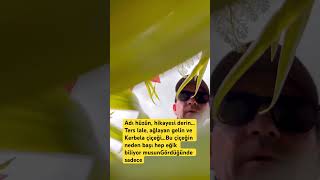 Ters Lale Kerbela Çiçeği #bahar #shorts #lale #kerbela #short #12 #123 #gezgin #travel