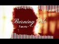 Burning Pile || Audio Edit || CapCut
