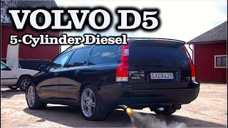 Best of Volvo D5 Sounds - Loud 5-Cylinder Turbo Diesels!