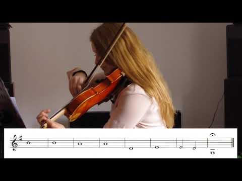 Lezioni di violino.