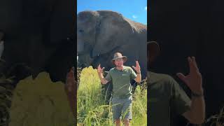 I can never ever get enough of standing next to Mak - he is our gentle giant! 🐘🙌🏻