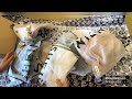 Щ ШґШЄШ ЩЉШ ШЄ Щ Щ ШґШЄШ ШЎ Щ Щ ШґЩЉ ШҐЩ вќ пёЏHaul Shein Shein Sheinhaul Sheingals Щ ШґШЄШ ЩЉШ ШЄ Щ Щ ШґШЄШ ШЎ Щ Щ ШґЩЉ ШҐЩ вќ пёЏHaul Shein Shein Sheinhaul Sheingals