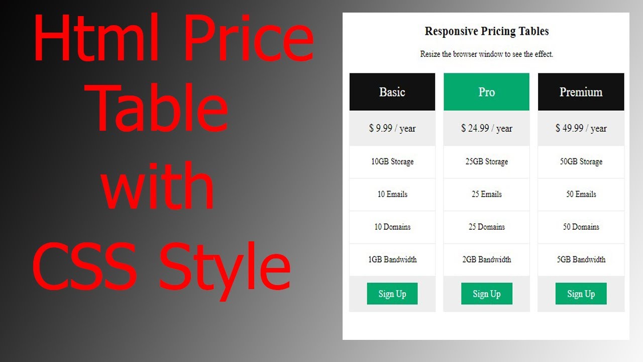 How to Create a Responsive Pricing Table With Html and CSS(2022) - YouTube