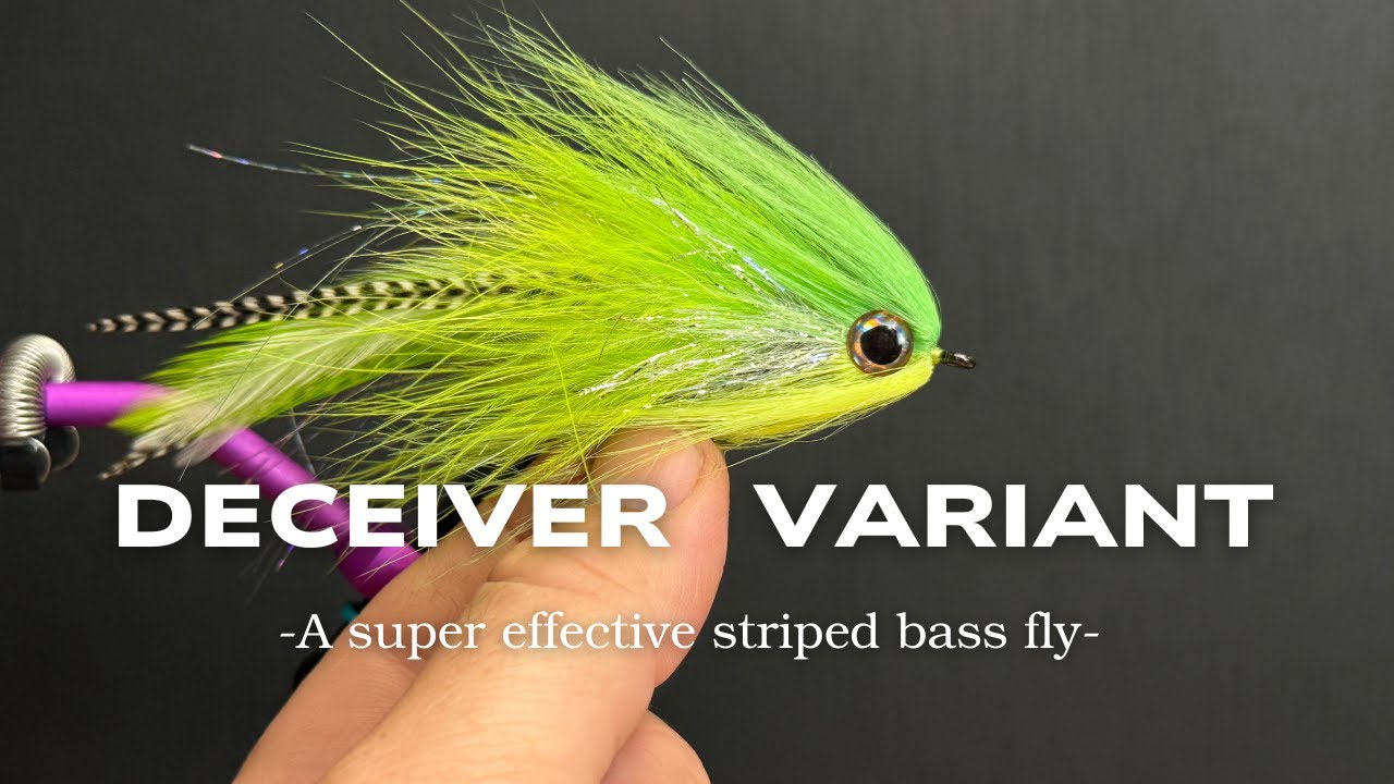 Вариант «Обманщик» — сверхэффективная мушка для ловли полосатого окуня.