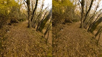 Reelsteady GO - Side by side comparison - Biking