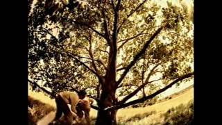 Tvn - Reklamy I Zapowiedzi Z 6 Lutego 2004 Roku