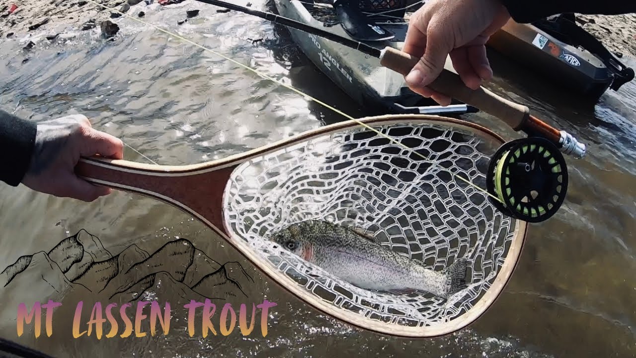 Активный клев форели на озере Силвервуд в 2026 году