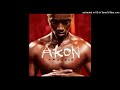 Akon Trouble Nobody 