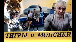 Золотая молодёжь - как кастрированные котики. (А. Мамиев)