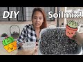 HOW TO PREPARE POTTING MEDIUM FOR CACTUS AND SUCCULENTS (Lowland) || PHILIPPINE WEATHER