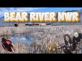 Bear river national wildlife refuge