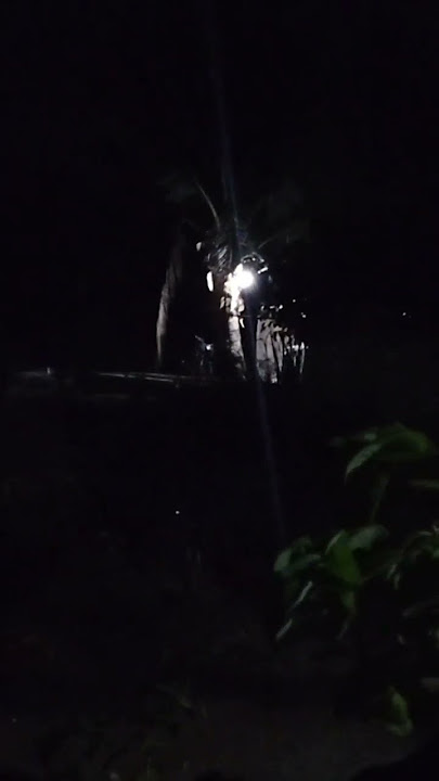 Malam sunyi seram #subscribe #shorts