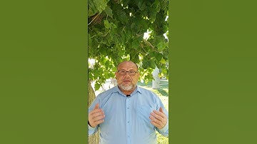 فرق المعاني!! القرآن الكريم.. كيف نتدبر القرآن؟؟ اللغة 2022