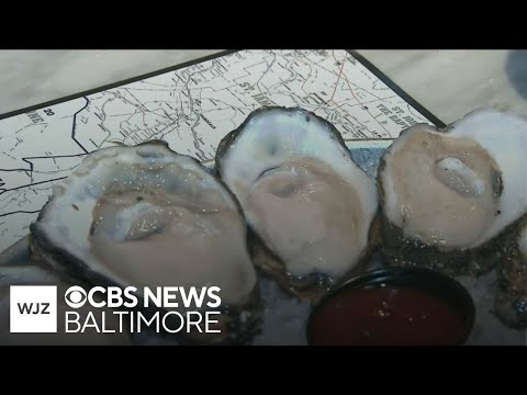 Food Recalls In Maryland
