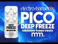 Musicmaker presents  ehx pico deep freeze did ehx just sneak a superego into a freeze pedal yep