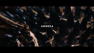 ANDREA (feat. Vanessa Elisha) - DOWN (music video) Resimi