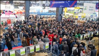 Salon de l'Agriculture : plus de 600.000 visiteurs sont venus lors de cette édition marquée par l…