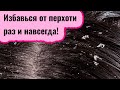 Как правильно избавиться от перхоти в домашних условиях