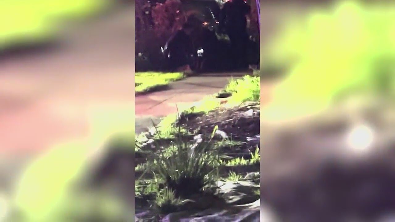 Man suspected of masturbating bites San Jose police officer: SJPD