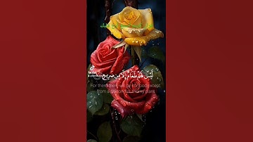#بسم_الله_الرحمن_الرحيم #سورة_الغاشية #قرآن #آيات #❤️❤️❤️❤️❤️❤️❤️❤️#ترند #اكسبلور #دويتو #لايك
