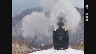 (非HD)「SLすずらん号」 C11 207 初運用