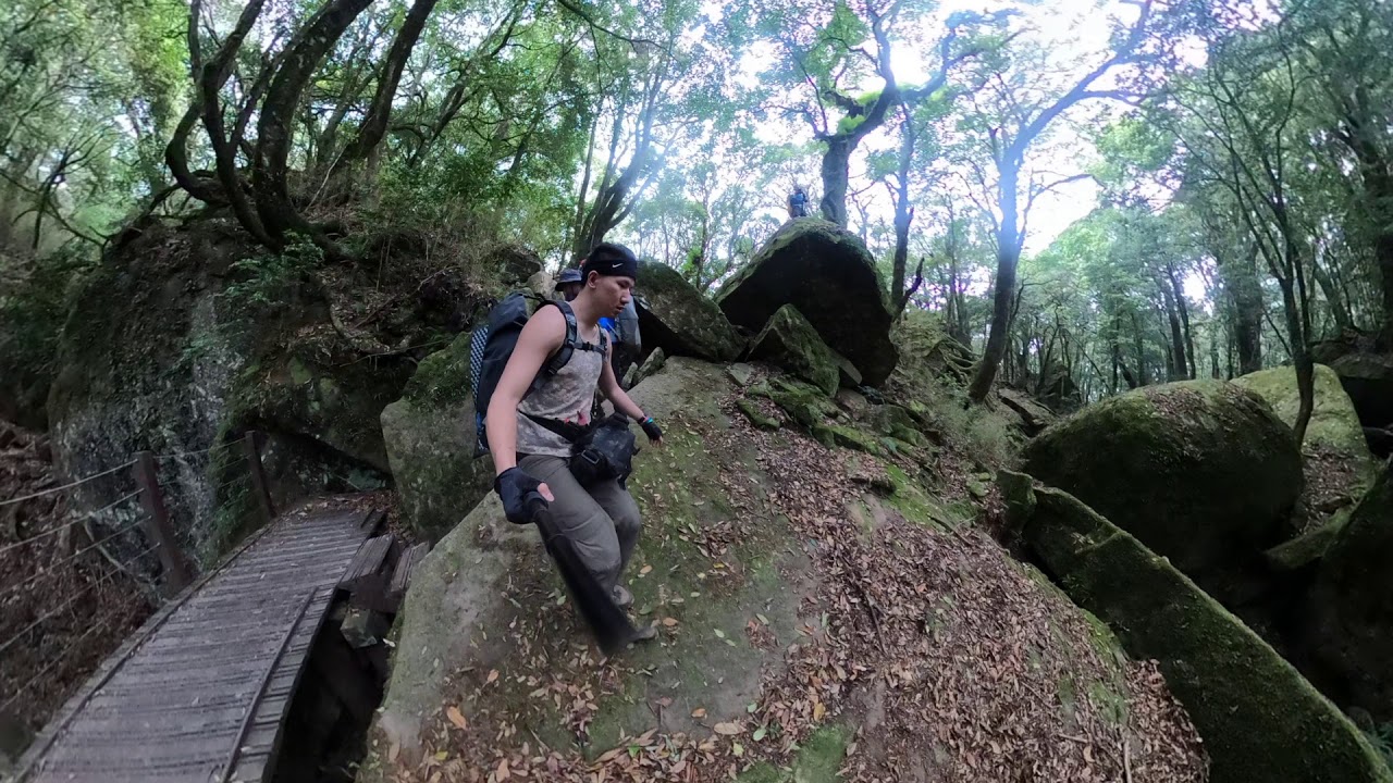2020【哈加O型縱走】哈堪尼山 | 加里山 🌴 JIALI MOUNTAIN Loop Walk - YouTube