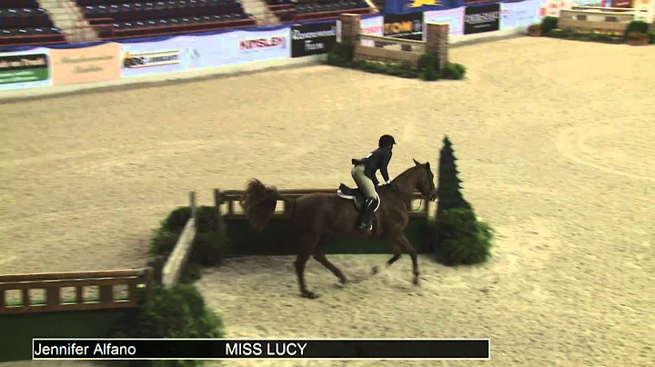 513 MISS LUCY Jennifer Alfano, Class 84 High Performance Working Hunter Handy