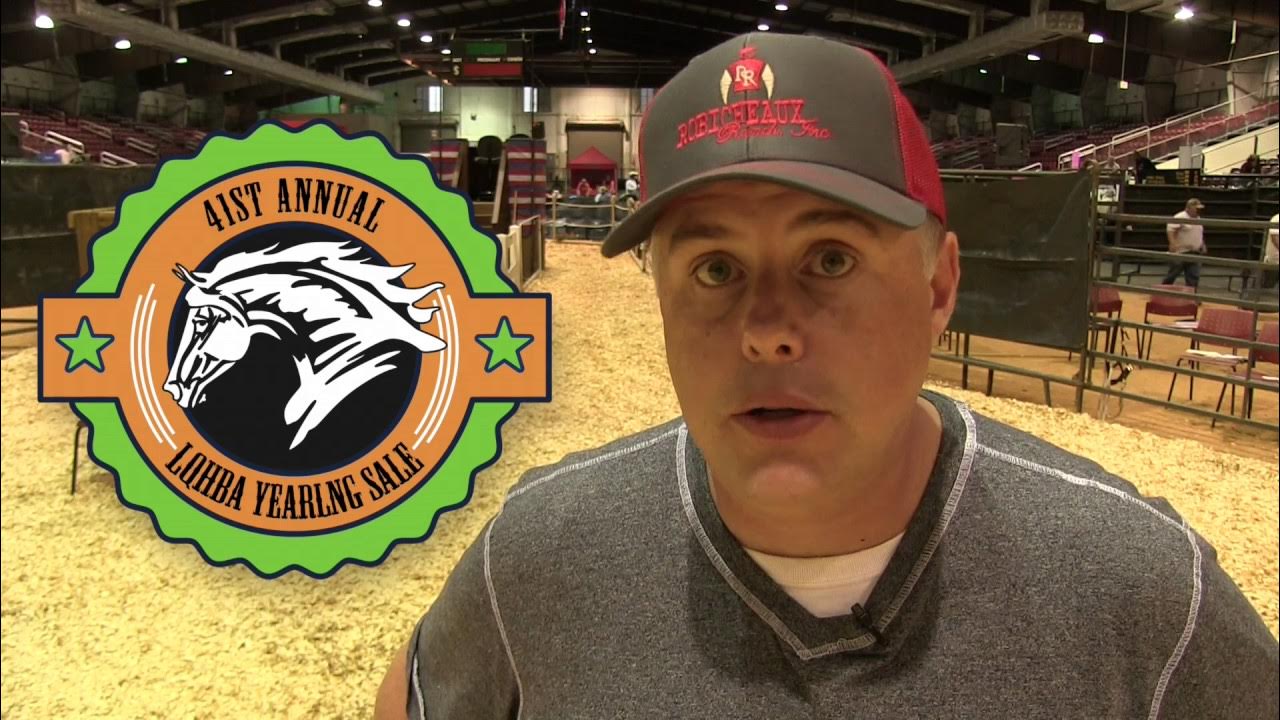 LQHBA 2017 Yearling Sale Day 2 YouTube