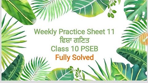 Competency Weekly Practice Sheet 11 Math Class 10 PSEB