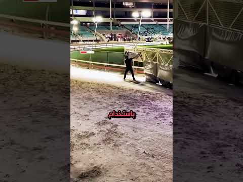 إشارة التوق ف للغرايهاوند 