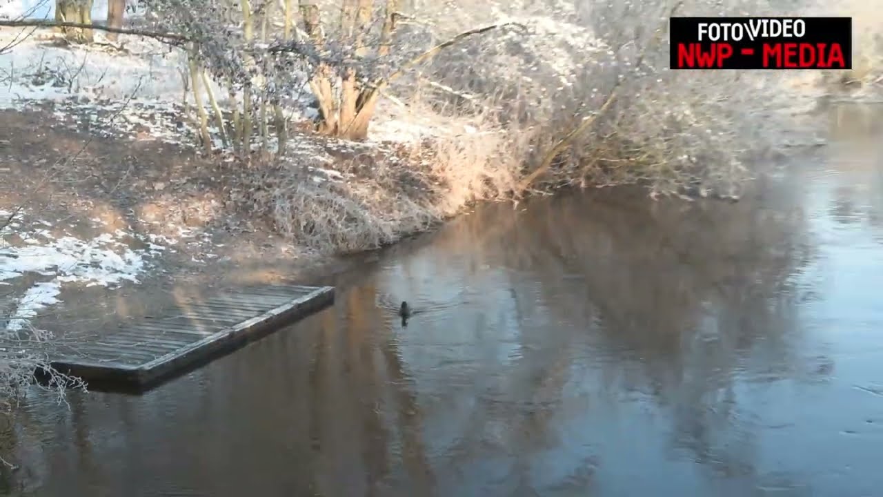 Der Winter 2025/2026, einfach Märchenhaft - Bilder aus der Gemeinde Wardenburg (NWP-MEDIA)