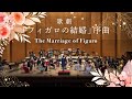 【吹奏楽】歌劇「フィガロの結婚」序曲（モーツァルト） / The Marriage of Figaro (mozart) [Wind Orchestra]