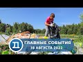 18.08.2022 Домодедово. Главные события