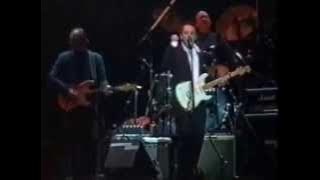 Jimmie Vaughan Live in Argentina 1990