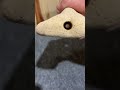 Any Idea on What This Is?
