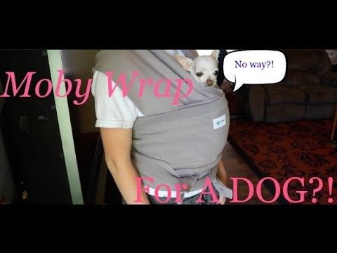 moby-wrap-for-a-dog?!