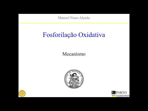 Vídeo: O Erv1 De Arabidopsis Thaliana Pode Oxidar Diretamente Proteínas Do Espaço Intermembranar Mitocondrial Na Ausência De Mia40 Redox-ativo