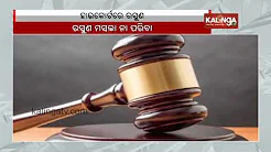 Is garlic spice or vegetable? Madhya Pradesh court ends years-long debate || KalingaTV thumbnail