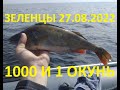 Рыбалка на окуня на Ладоге у Зеленцов 27.08.2022 г.