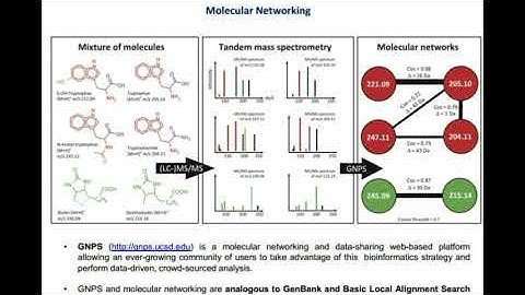 Metabolomics | Molecular network | Cryptic gene clusters