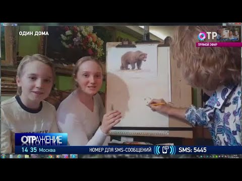 Рисуем медведя. Вместе с художником Константином Мирошником и его детьми