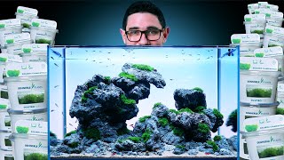 I Only Used MOSS For This Planted Aquarium | Magnificent Minimalistic 60P Aquascape