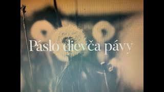 Bystrík banda & Mária Čírová - Páslo dievča pávy (Lyric video) chords