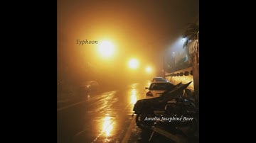 Typhoon by Amelia Josephine Burr
