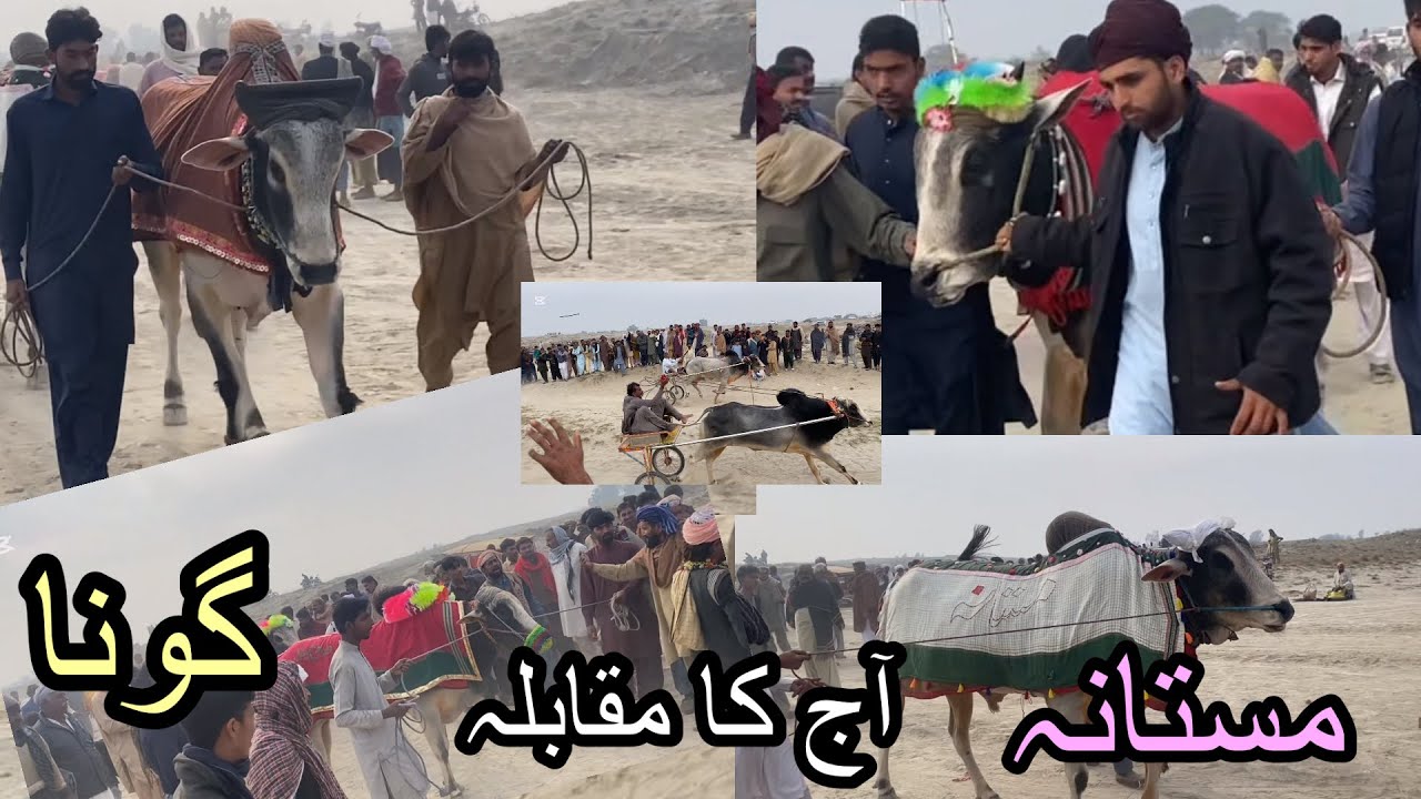 نیو بیل مقابلہ آج کا 18 December پاک سدابہار گروپ بامقابلہ خان گڑھ گروپ mela MALIK Malik Amin Khokh￼