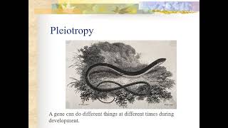 10.7 Advanced Genetics Concepts